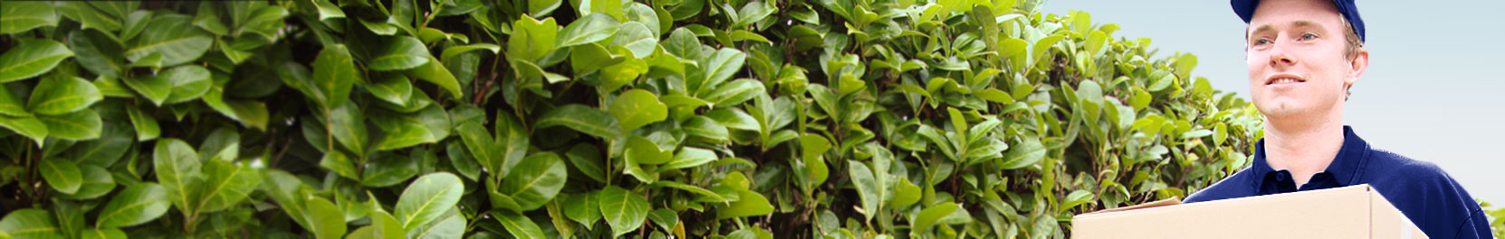 Bezorger draagt een pakket naar een pakketbrievenbus / pakketbus bij een woning